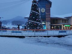 -长白山万达锦华套房酒店