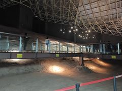 -世界恐龙谷景区
