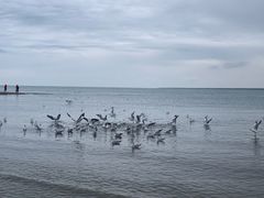 -青海湖二郎剑景区