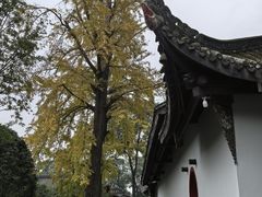 -宝光寺