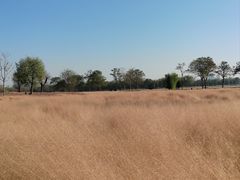 -汉长安城未央宫国家考古遗址公园