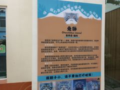 -青藏高原野生动物园