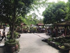 -青城甲(青城山店)