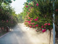 -武汉紫薇都市田园