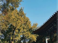 -国家图书馆·古籍馆