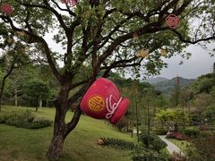 -云溪植物园