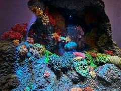 -中国湿地博物馆