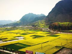 -龙湾潭国家森林公园