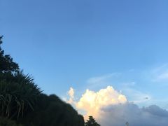 -华侨城湿地公园