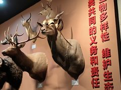 -浙江自然博物院(杭州馆)