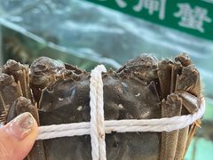 -品鲜村农家菜·阳澄湖大闸蟹(总店)