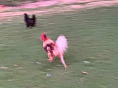 -不觉晓CAMPING(上海迪士尼营地店)