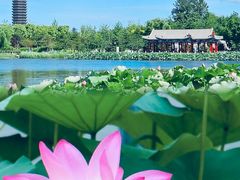 -西海子公园