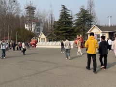 -日照海滨国家森林公园