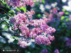 -国家植物园
