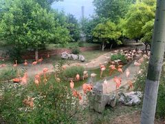 -大连森林动物园