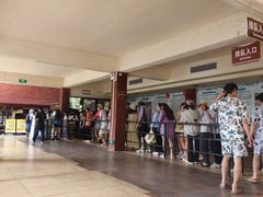 -海南槟榔谷黎苗文化旅游区