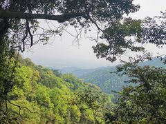 -青城山