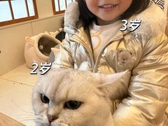 -Let's go狗咖·猫咖·奶狗·桌游(春熙路IFS店)