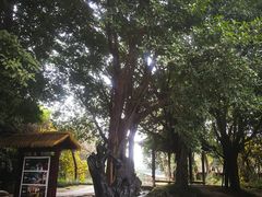 -天赐温泉