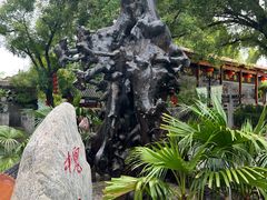 -大槐树寻根祭祖园