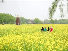 -长兴太湖图影湿地文化园