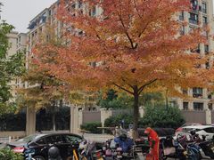 -西树泡芙(湖滨银泰in77B区店)