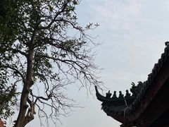 -丰都鬼城名山景区