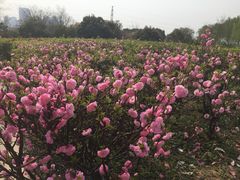 -西安汉城湖景区