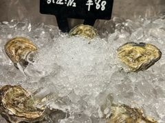 -Oyster Talks 四度蚝法餐厅