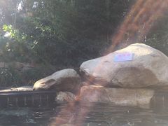 -威海天沐温泉度假区