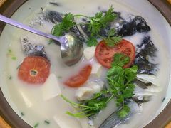 千岛湖浓汤鱼头-全乐鱼馆·淳牌有机鱼直营店