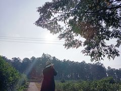 -美的鹭湖探索王国