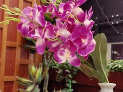 -荷花泰菜(东方新天地店)