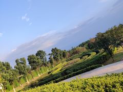 -铁山坪森林公园