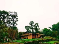 -两江国际影视城
