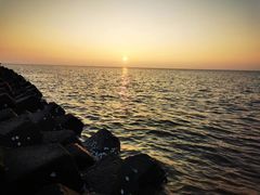 -南汇嘴观海公园