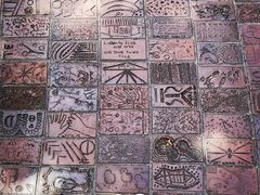 -斐兹洛伊花园