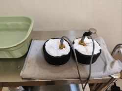 -慈蕊美容养生·专业经络调理