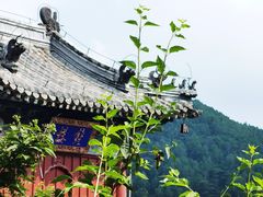 -潭柘寺景区