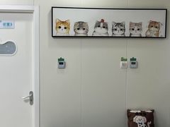 -美联众合动物医院·24h京西诊疗中心