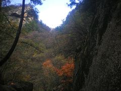 -洛阳白云山景区