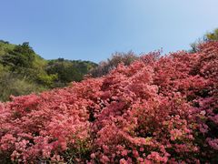 -木兰云雾山
