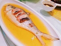 清蒸鲥魚-930私房菜(欧阳路店)