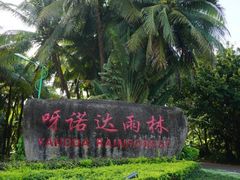 -呀诺达热带雨林