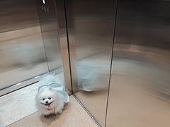 -中海环宇荟