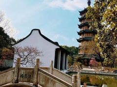 -红梅公园