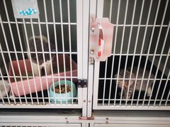 -拜鲁耶动物诊疗中心·宠家动物医院