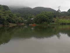 -广州市帽峰山景区