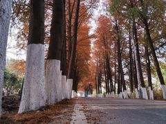 -嘉兴清池酒店温泉